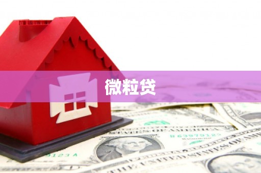 黄大仙微粒贷