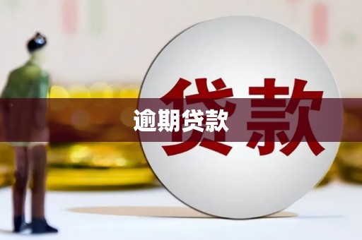 黄大仙逾期贷款